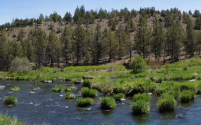 COVID-19 Sixty Day Plan